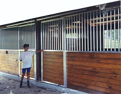 Horse Stall Door